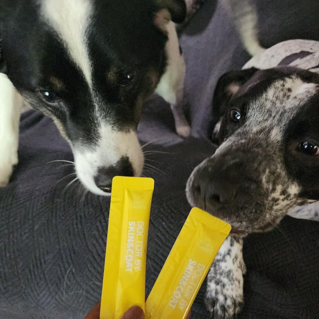 Dr. BY never disappoints! The single-use packs are convenient, my picky dogs love it like a treat, and it supports their skin health with no discomfort.