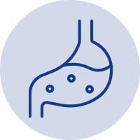 Probiotics for Dog's Gut Health