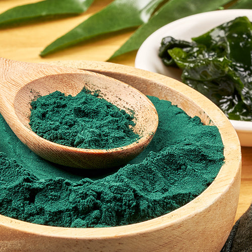 A superfood rich in vitamins, minerals, and essential fatty acids, promoting dog skin regeneration, coat health, and antioxidant protection to combat oxidative damage and support a shiny, healthy coat