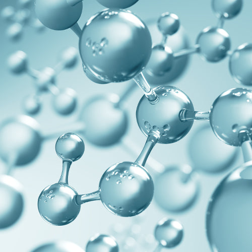 AF-343, a patented plant-based antioxidant blend, supports dog skin health by reducing inflammation, protecting skin cells, and enhancing skin resilience against environmental stressors, promoting a healthy coat and itch relief.