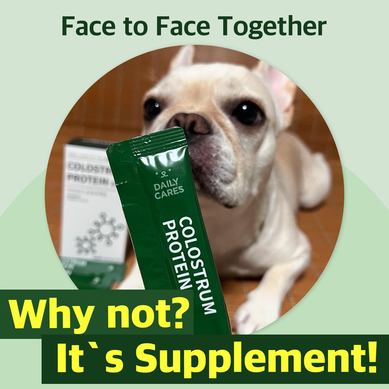 Colostrum Protein supplement for dogs supports immunity, mobility, and digestion with a delicious and easy-to-feed formula.