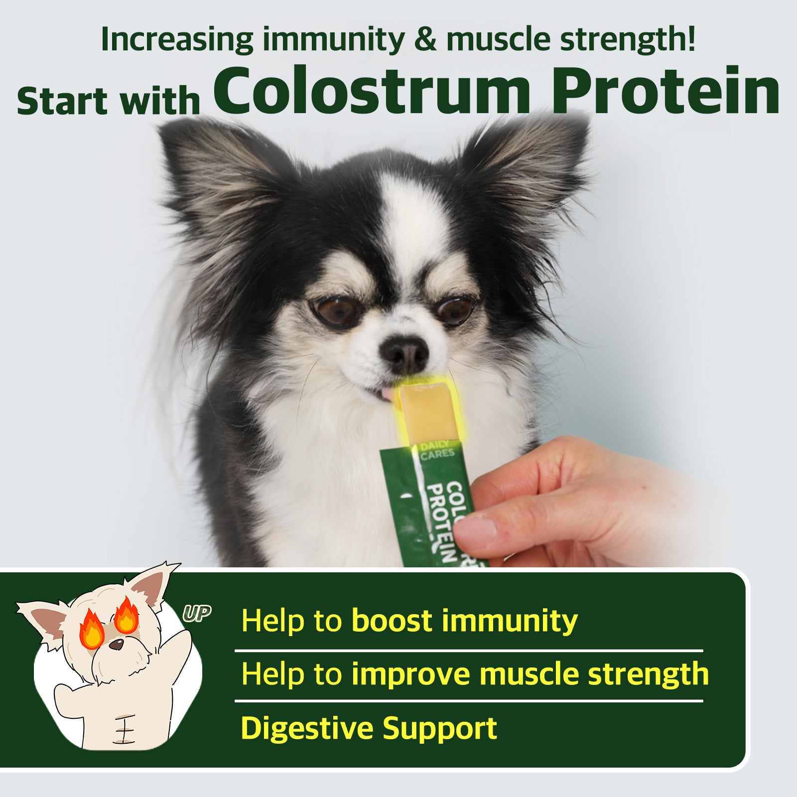 Colostrum Protein for Dogs - Boost Immunity, Improve Muscle Strength, and Support Digestion