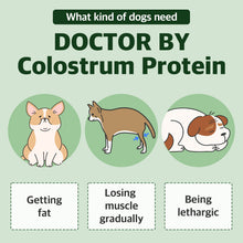 Dr. BY Colostrum Protein supports immune health, muscle maintenance, and energy levels for dogs prone to weight gain, muscle loss, or lethargy.