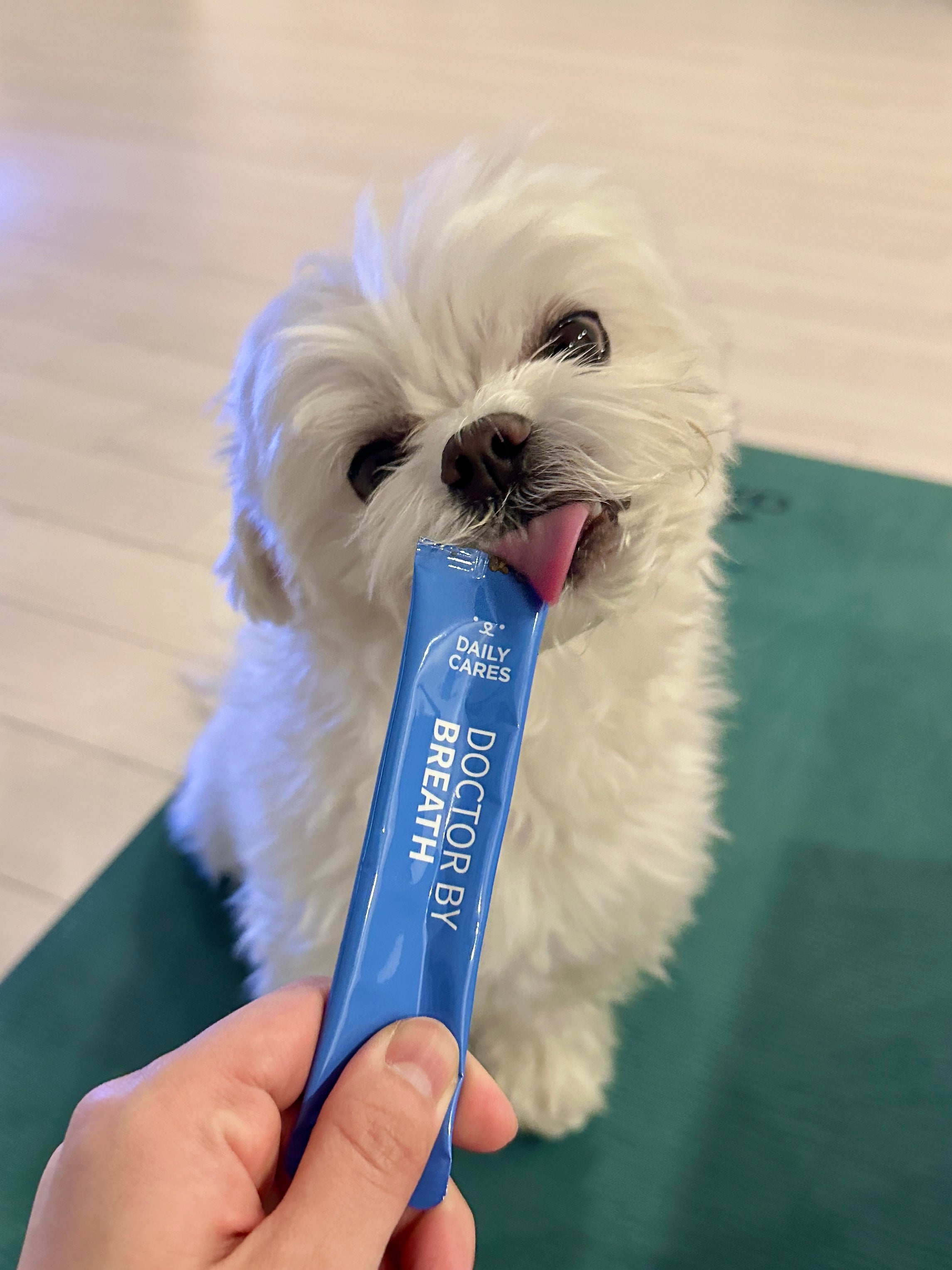 I saw my favorite K-pop idol using Dr. BY for his dog, so I bought it. My dog used to cough after drinking water, but after taking Breath, the coughing stopped! It’s an amazing product.