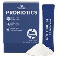 Dr. BY Probiotics for dogs support gut health, skin health, and immune function with a high-quality probiotic formula designed for optimal digestion and overall well-being.