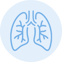 Dog and Cat Lung, Respiratory, and Bronchial Health Issues