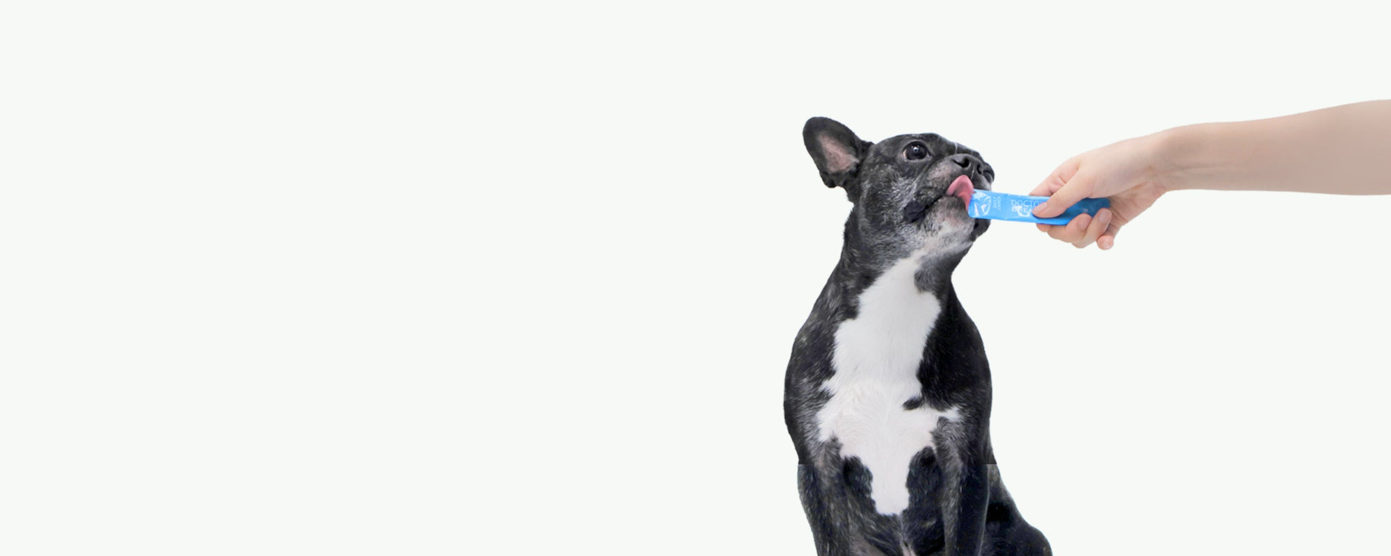 Easy-to-feed pet supplements—Dr. BY gel-type supplements make showing love effortless.