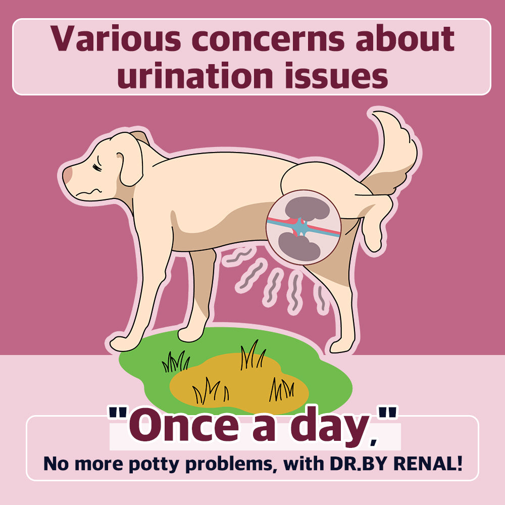 DOCTOR BY Renal is a dog supplement designed to support urinary health, prevent potty problems, and promote kidney function with a once-a-day formula.