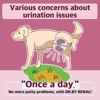 DOCTOR BY Renal is a dog supplement designed to support urinary health, prevent potty problems, and promote kidney function with a once-a-day formula.