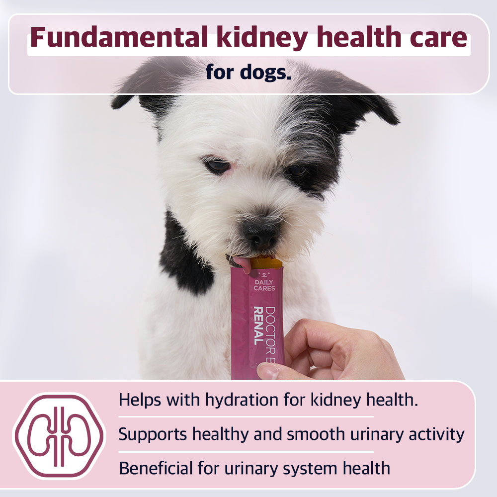 DOCTOR BY Renal is a dog supplement that supports kidney health, promotes hydration, and ensures smooth urinary system function.