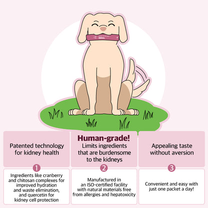 DOCTOR BY Renal is a human-grade dog supplement with patented kidney health technology, natural ingredients, and an appealing taste for easy daily consumption.